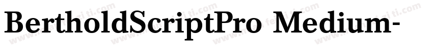 BertholdScriptPro Medium字体转换